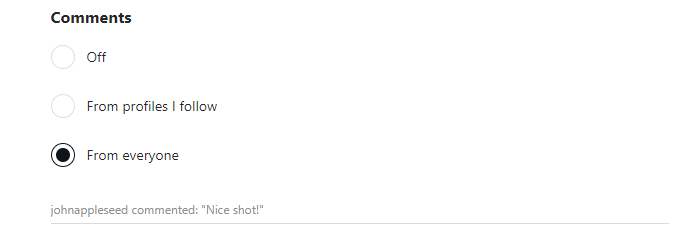 Instagram Comments alt text